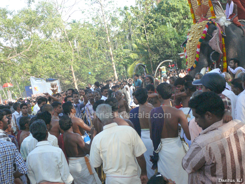 mangad-pooram-2013 (17)